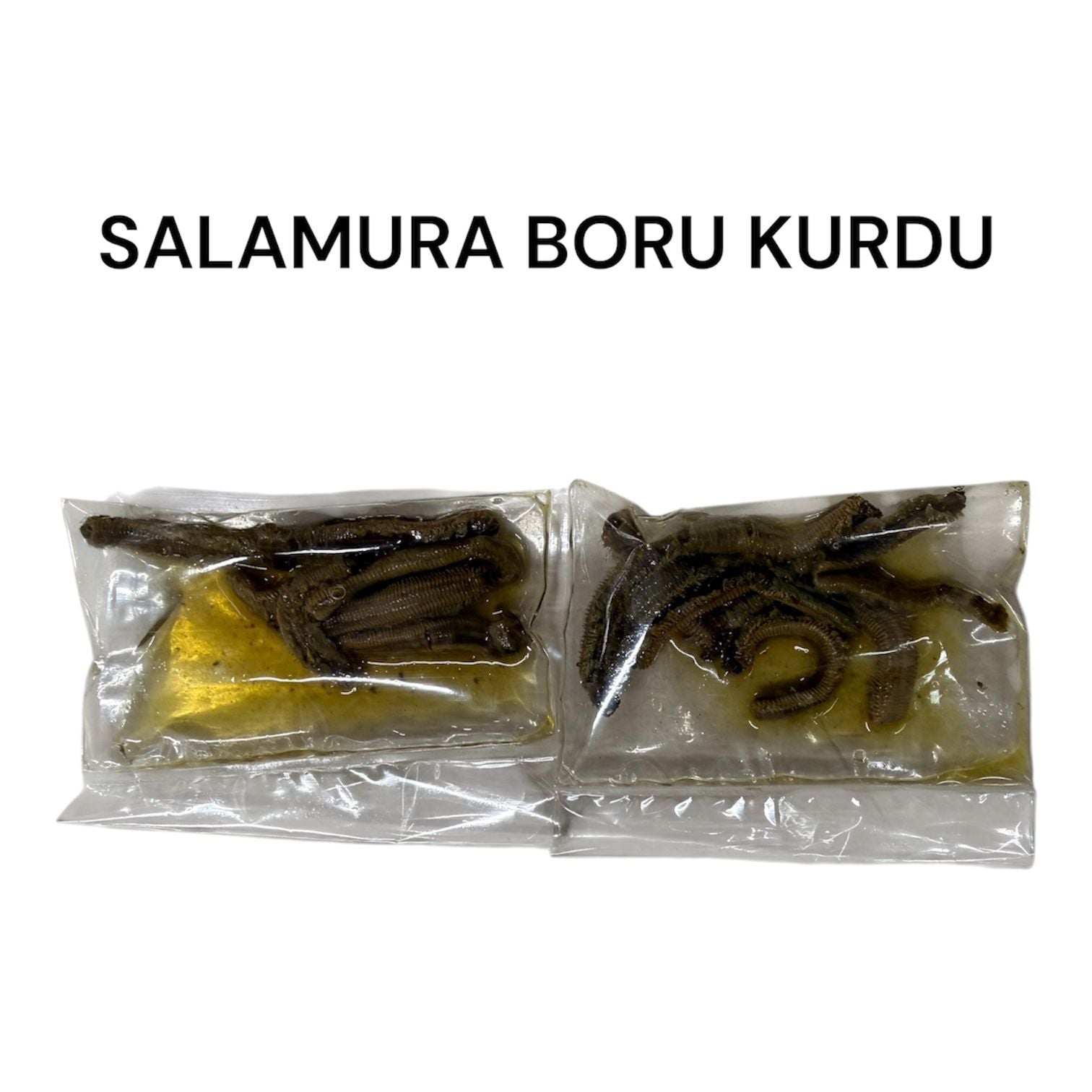 Salamura Boru Kurdu