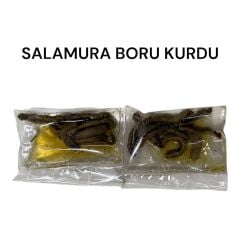 Salamura Boru Kurdu